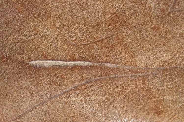 natur Leder – offene Narbe