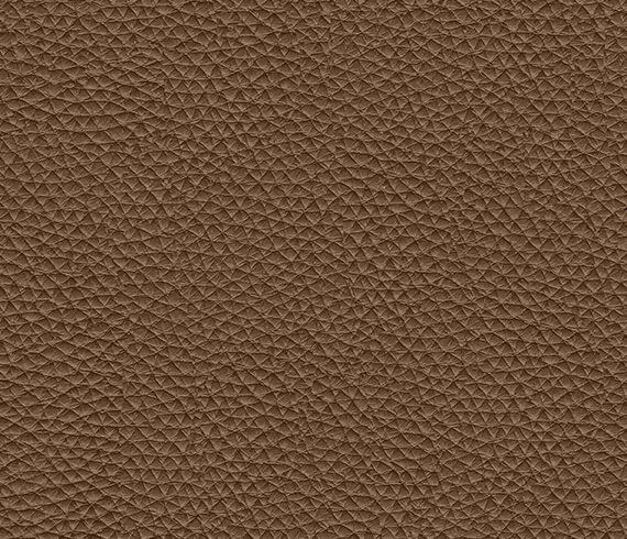 Z84 – Longlife Xtra by W.SCHILLIG *not available at all dealers!