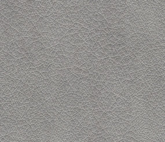 Z69 - Longlife Xtra by W.SCHILLIG