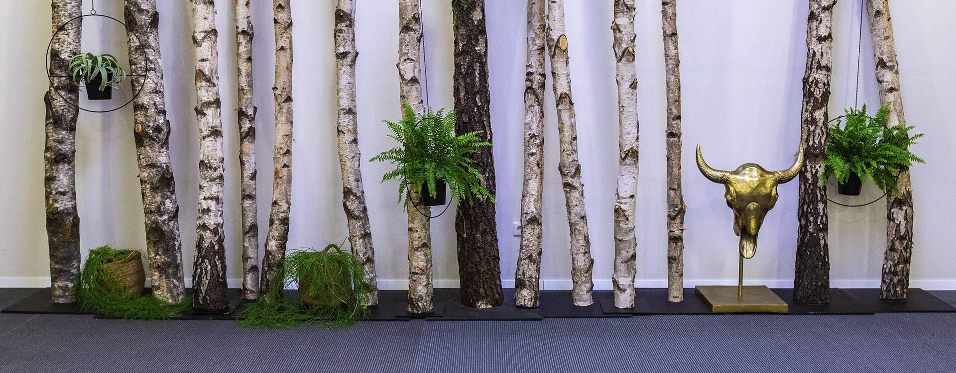 Showroom Hausmesse 2019