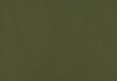 35 - olive