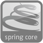 spring core