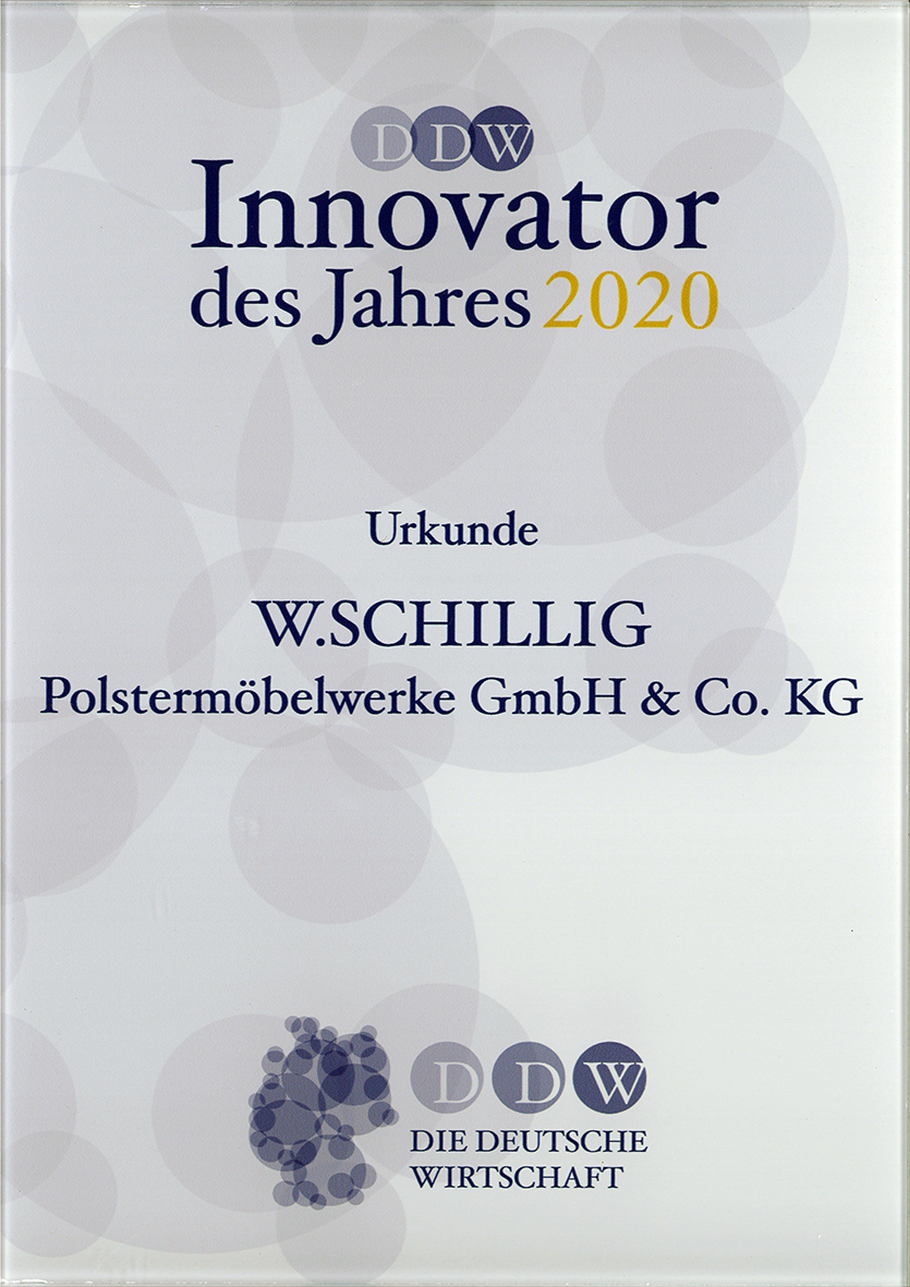 Urkunde «Innovator des Jahres 2020«